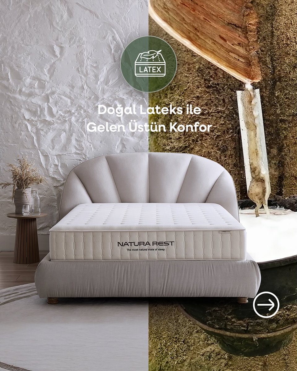 yatasbedding's tweet photo. Doğadan ilham alan Natura Rest Yatak; doğal lateks, hindistan cevizi lifleri ve organik pamukla konforlu, serin ve sağlıklı bir uyku sunuyor. 🌿 🛏️ ♻️ https://t.co/9Mz5aBDu2a