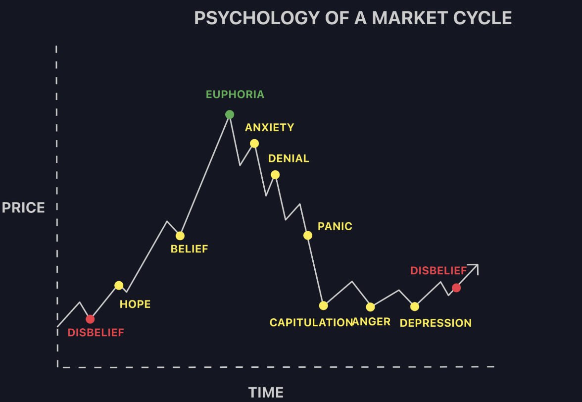 Psychology of A Market Cycle $BTC