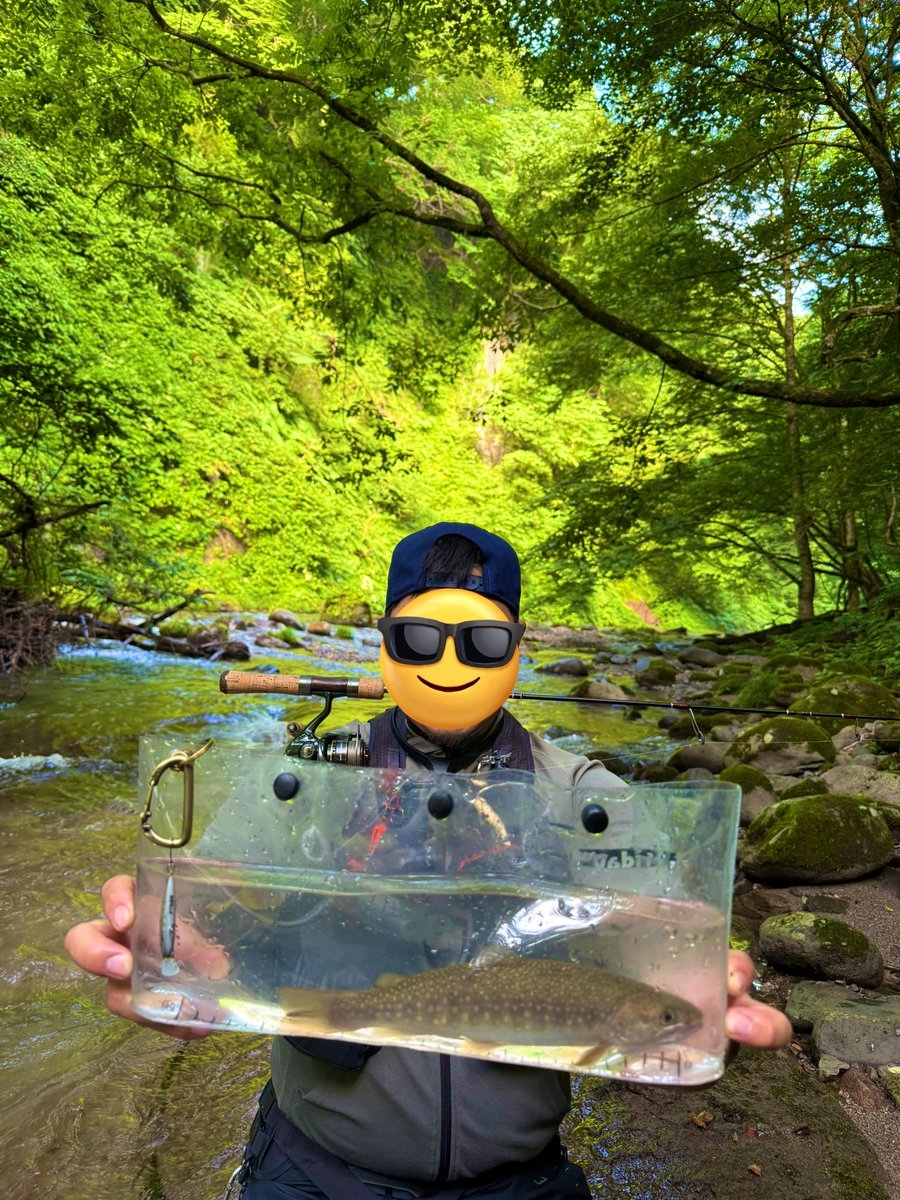 癒されに行ってきた🤤
🐸いっぱいいて怖かった。。。
尺ヤマメバラしたの辛い
友達はいい感じのイワナ釣ってた

 #渓流
 #ヤマメ