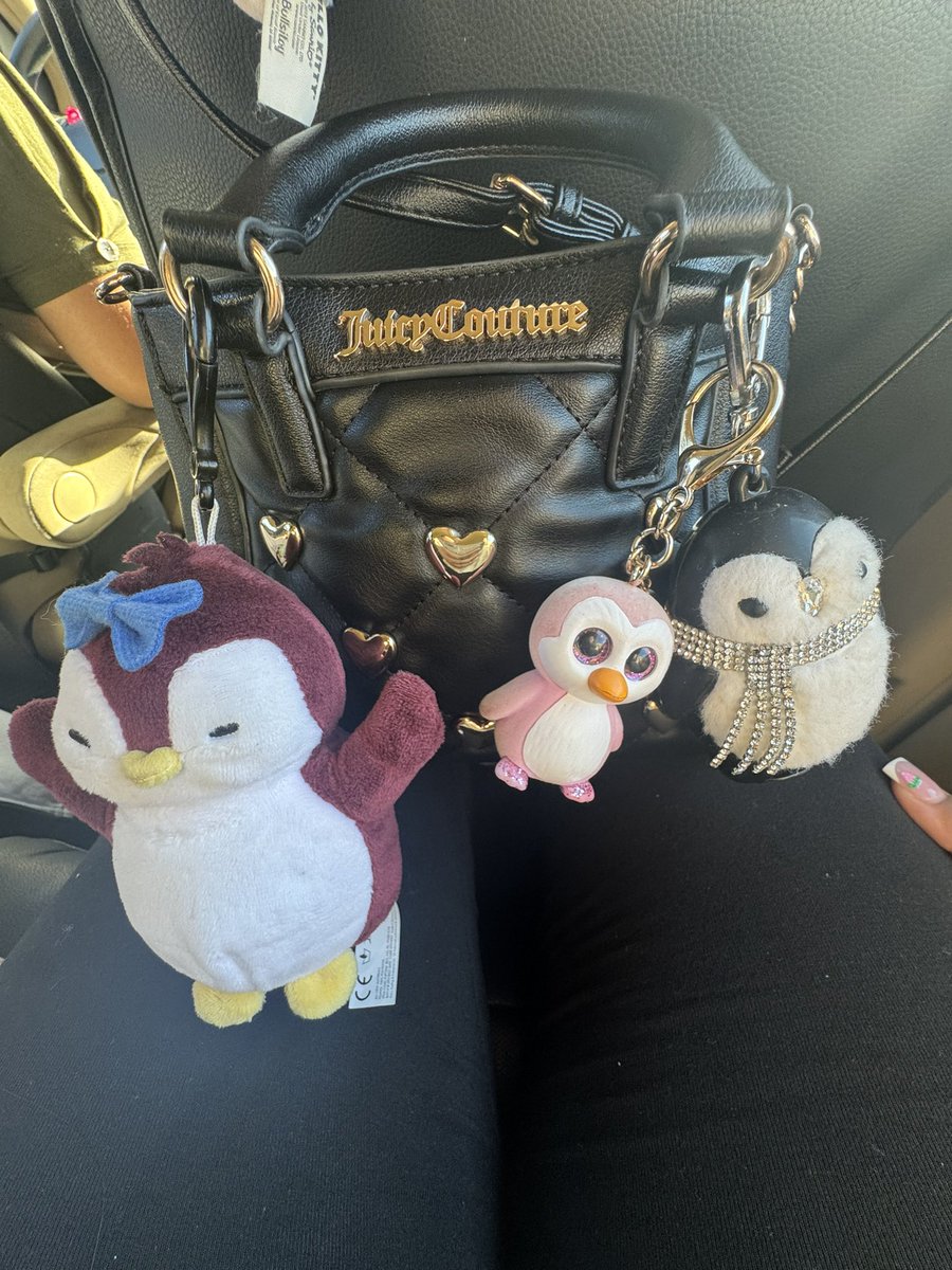 imsliving's tweet photo. omw to the aquarium to get up close with penguins im so happy i love penguins so much they could never do no wrong 
i love carrying them around with me :3 https://t.co/g6sH12A9pt