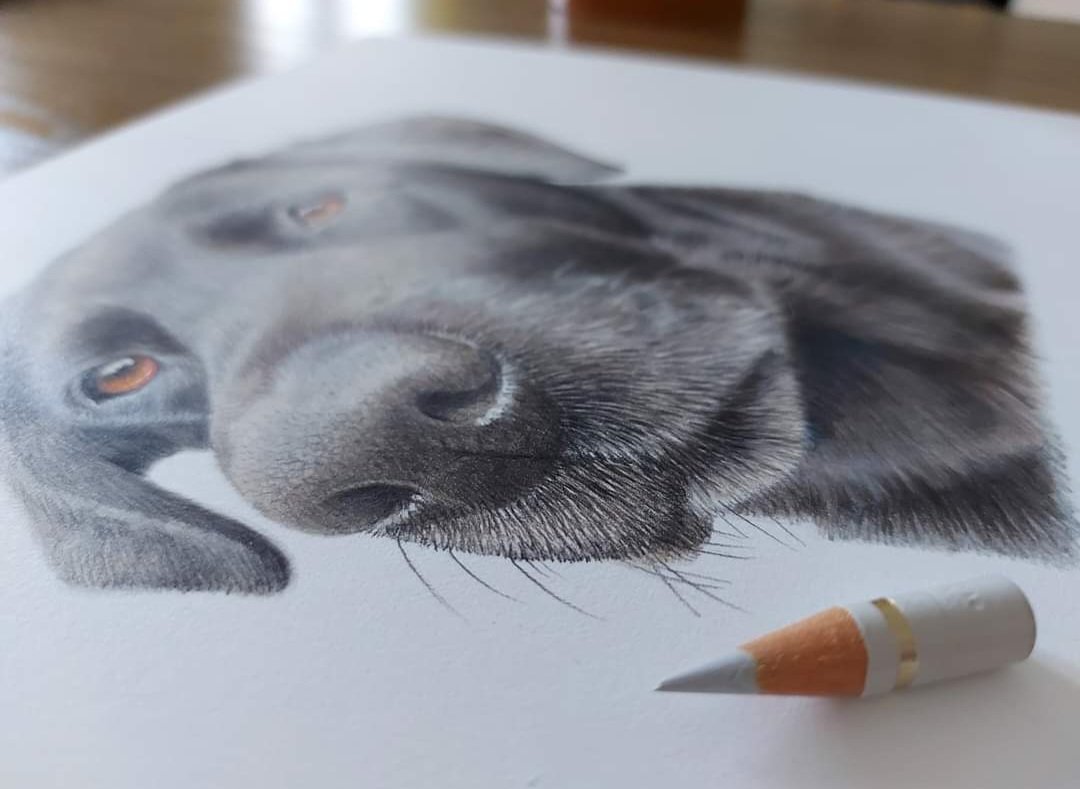 srh_sue's tweet image. **15% DISCOUNT**
Until the end of July 2025 I'm offering 15% off the listed price of commissions. All bookings must be confirmed with a 30% deposit. To view a current price list please visit my website or drop me a message.
#art #drawing #commissions
