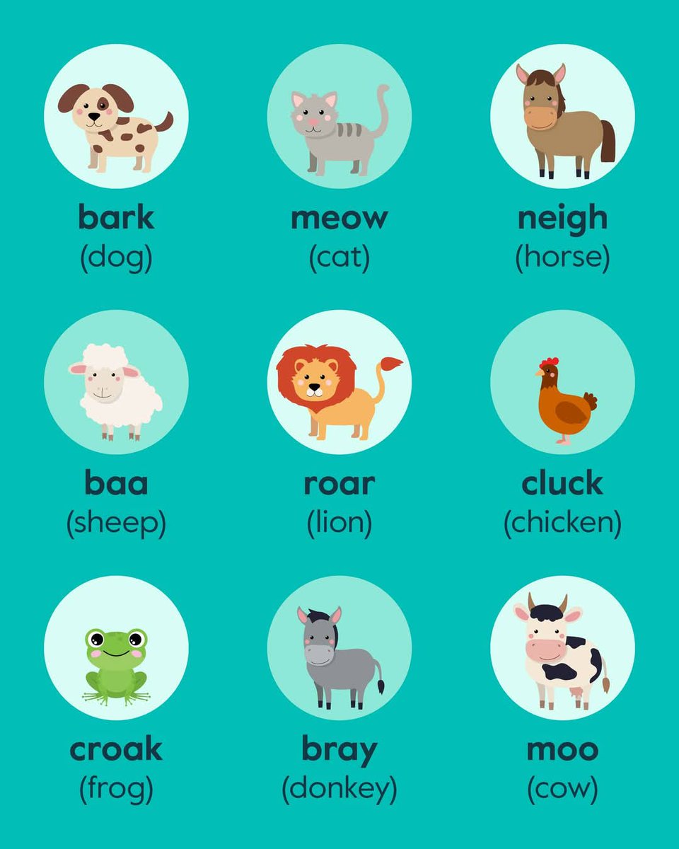 معلم إنجليزي معتمد ومتخصص خبرة  15 سنة بمراكز اللغات والمدارس 
1. دورات لغة عامة ومحادثة لكل الإعمار
2. التدريب لحل الاختبارات الكليات العسكرية 
3. التدريب على الاختبارات الدولية مثل الايتلس  وستب و ALCPT  وAptis 
 4. دروس خصوصية  كل الصفوف الدارسية والجامعة