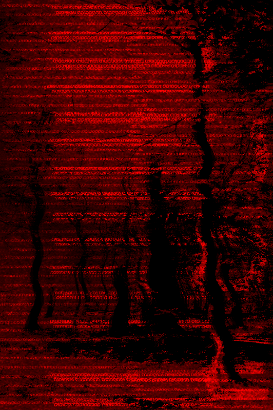 01001000 01001001 01000100 01000101 tweet media