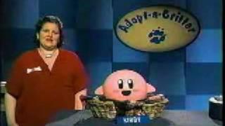 DATOS CURIOSOS Y COSAS QUE NO SABÍAS DE KIRBY: UN HILO. (1/14)