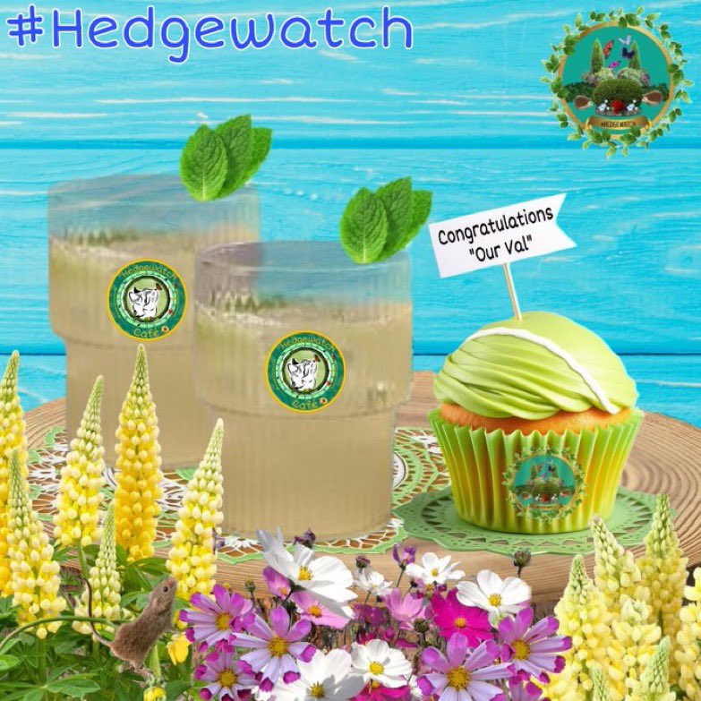 Hedgewatch (@hedgewatchers) on Twitter photo <a href="/PoppyMollyandS1/">Pops, Molly,Skylie &Owlie 🇺🇦♥️🐾💕✨</a> <a href="/Biscuit_Meow/">Biscuit😻🐦🐾💕</a> <a href="/BrambleRamble4/">Bramble, Mum &🌈Angel Tommy</a> <a href="/AngusMcPussPuss/">Angus 🌈 & Furgus McPussPuss🌻</a> <a href="/lell_sutherland/">Lell Sutherland 🏴🇺🇦🕯️❤️</a> <a href="/Patch_cat1234/">Patch</a> <a href="/holly_pickle1/">Holly 💖🫛💚🐾</a> <a href="/EeyoreFairyTale/">🇺🇸 Eeyore 🇬🇧</a> <a href="/RobinMi22788897/">Cally and Angels Gustus and Muffin</a> <a href="/DisCocoa24/">Cocoa🐾 And Angel Ron 🌈</a> <a href="/Ted_E_kins/">🧡Ted🧡</a> <a href="/TrintyTay/">Trinity 🐱🏰🐉🏴</a> <a href="/OliveFig2/">Olive Fig & Bella 🐈⬛🐈⬛🐈</a> <a href="/stellibelly1/">Reti, Ruby & 🌈Angel Stella 🧡🩷❤️</a> <a href="/Phoebe_the_Catt/">Phoebe Cat</a> <a href="/thecatBluebell/">Bluebell 🐈💙 Neo 🖤 Ziggy Fluffdust 🖤🤍</a> <a href="/DotAndBella/">Dottie and Bella 🐱💕💕💕💕🐱</a> <a href="/starbuckssue/">💜Tia 🧡Phoebe 😇❤️Angel Plum 😇💙Angel Boo ⛅️🌈⛅️</a> <a href="/JellyOzzy/">Ozzy & Angel Jelly 🌈 🐾</a> <a href="/ozzybop2/">Ozzybop along with me🐾😻❤️</a> <a href="/CharleyBearThe1/">Mr Charley Bear 🐻</a> <a href="/weegiemogs/">Noah, Cosmo and 🌈Seth the Wendy Weegie Mogs</a> <a href="/Cat_In_Charge/">Tinkerbell</a> Very sensible pals 🐾🐾 we’ve sent you a little cakie to celebrate the pawsome Valerie 🦔 and her victory at Wimblehog yesterday 🎾 we hope you enjoy it ❤️ <a href="/PoppyMollyandS1/">Pops, Molly,Skylie &Owlie 🇺🇦♥️🐾💕✨</a> <a href="/Biscuit_Meow/">Biscuit😻🐦🐾💕</a> <a href="/BrambleRamble4/">Bramble, Mum &🌈Angel Tommy</a> <a href="/AngusMcPussPuss/">Angus 🌈 & Furgus McPussPuss🌻</a> <a href="/lell_sutherland/">Lell Sutherland 🏴🇺🇦🕯️❤️</a> <a href="/Patch_cat1234/">Patch</a> <a href="/holly_pickle1/">Holly 💖🫛💚🐾</a> <a href="/EeyoreFairyTale/">🇺🇸 Eeyore 🇬🇧</a> <a href="/RobinMi22788897/">Cally and Angels Gustus and Muffin</a> <a href="/DisCocoa24/">Cocoa🐾 And Angel Ron 🌈</a> <a href="/Ted_E_kins/">🧡Ted🧡</a> <a href="/TrintyTay/">Trinity 🐱🏰🐉🏴</a> <a href="/OliveFig2/">Olive Fig & Bella 🐈⬛🐈⬛🐈</a> <a href="/stellibelly1/">Reti, Ruby & 🌈Angel Stella 🧡🩷❤️</a> <a href="/Phoebe_the_Catt/">Phoebe Cat</a> <a href="/thecatBluebell/">Bluebell 🐈💙 Neo 🖤 Ziggy Fluffdust 🖤🤍</a> <a href="/DotAndBella/">Dottie and Bella 🐱💕💕💕💕🐱</a> <a href="/starbuckssue/">💜Tia 🧡Phoebe 😇❤️Angel Plum 😇💙Angel Boo ⛅️🌈⛅️</a> <a href="/JellyOzzy/">Ozzy & Angel Jelly 🌈 🐾</a> <a href="/ozzybop2/">Ozzybop along with me🐾😻❤️</a> <a href="/CharleyBearThe1/">Mr Charley Bear 🐻</a> <a href="/weegiemogs/">Noah, Cosmo and 🌈Seth the Wendy Weegie Mogs</a> <a href="/Cat_In_Charge/">Tinkerbell</a> Very sensible pals 🐾🐾 we’ve sent you a little cakie to celebrate the pawsome Valerie 🦔 and her victory at Wimblehog yesterday 🎾 we hope you enjoy it ❤️