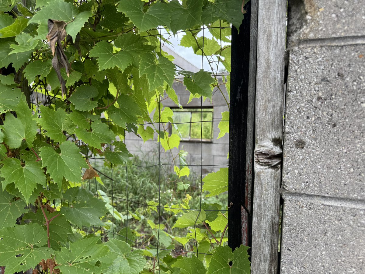 BlakeBandro tweet media