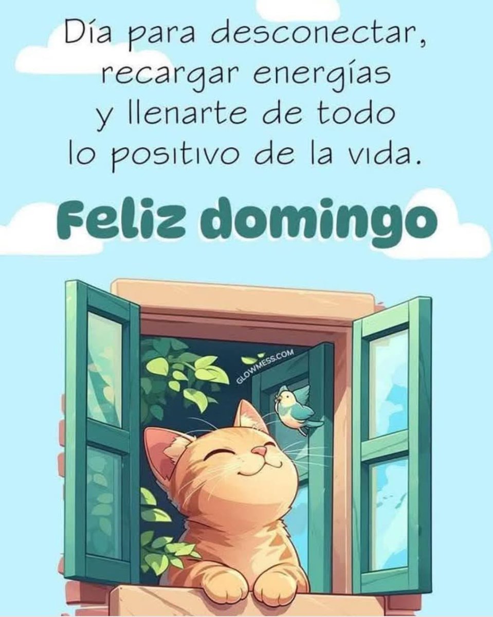 Hola amigos, buen día!! Que sea un hermoso domingo para todos!!! ☕🤗🫂💖🌻🎶🫶