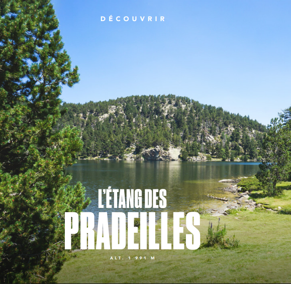 FontRomeuPyr2000 tweet media