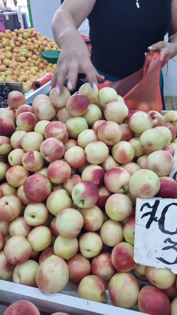 Almaty, in Kazako la montagna delle mele, è il centro di origine del melo ancestrale, Malus sieversis. Ancora areale di ampia diversità naturale del melo, che trovi anche al mercato. Per chi ci crede Adamo ed Eva erano qua.