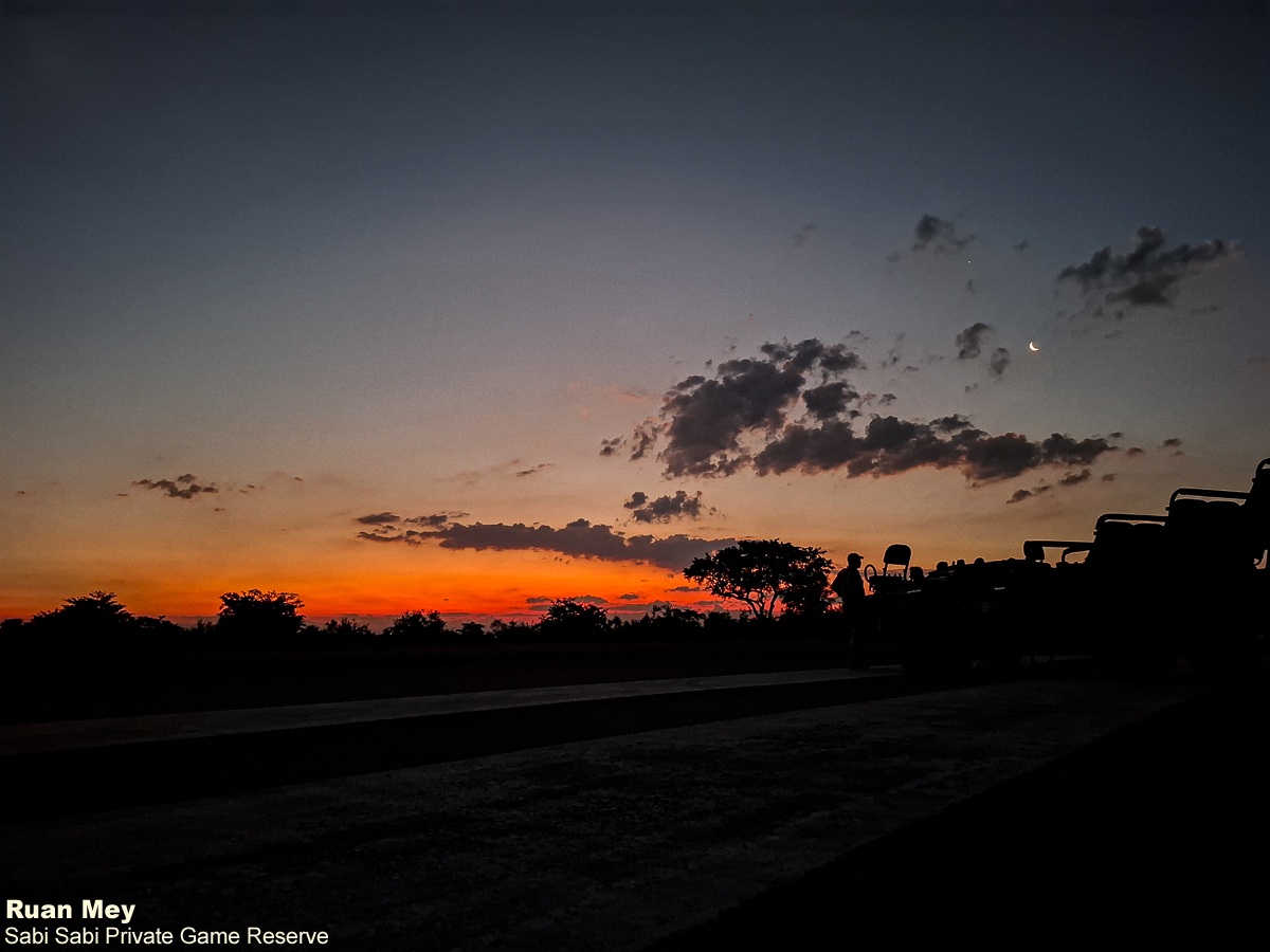 Sabi Sabi tweet media