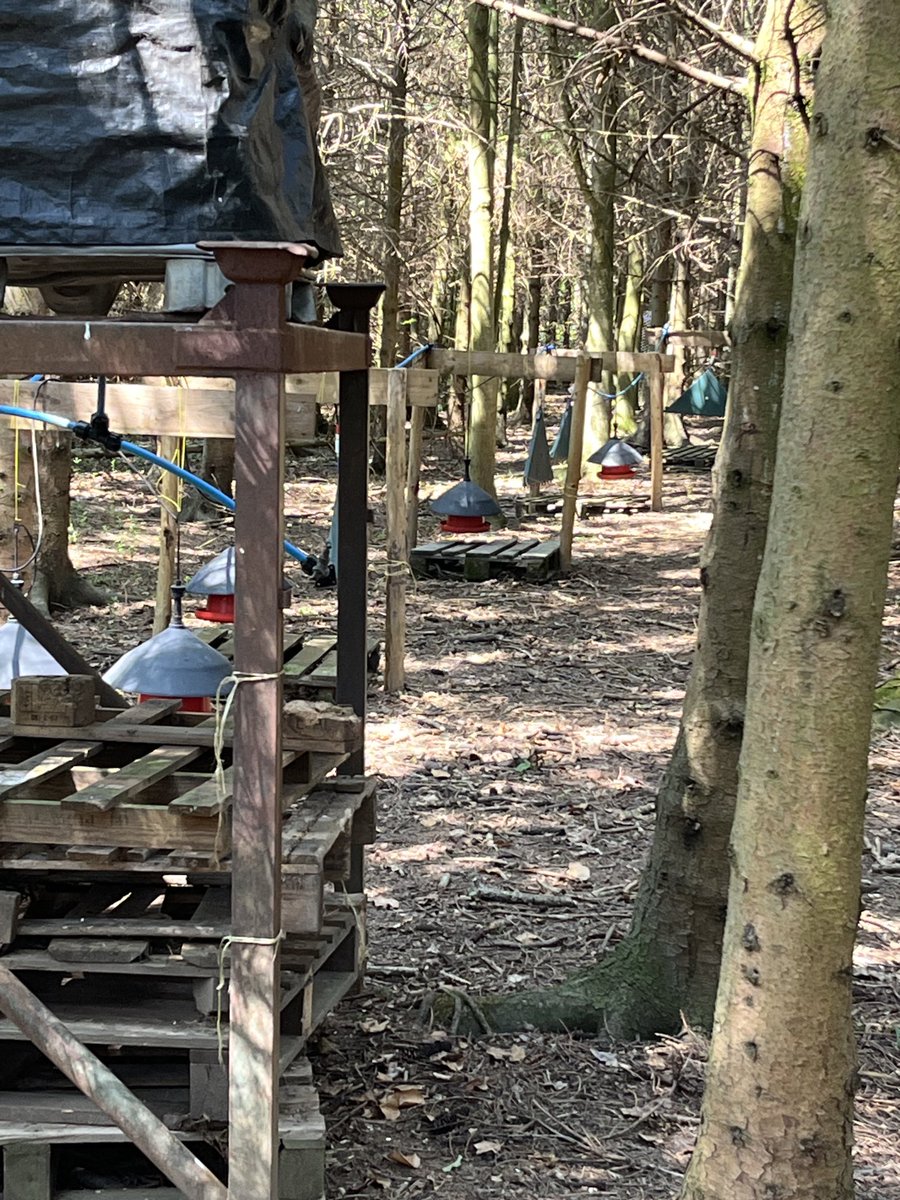 Drinkers done! Another job out of the way. Birds in 2 weeks