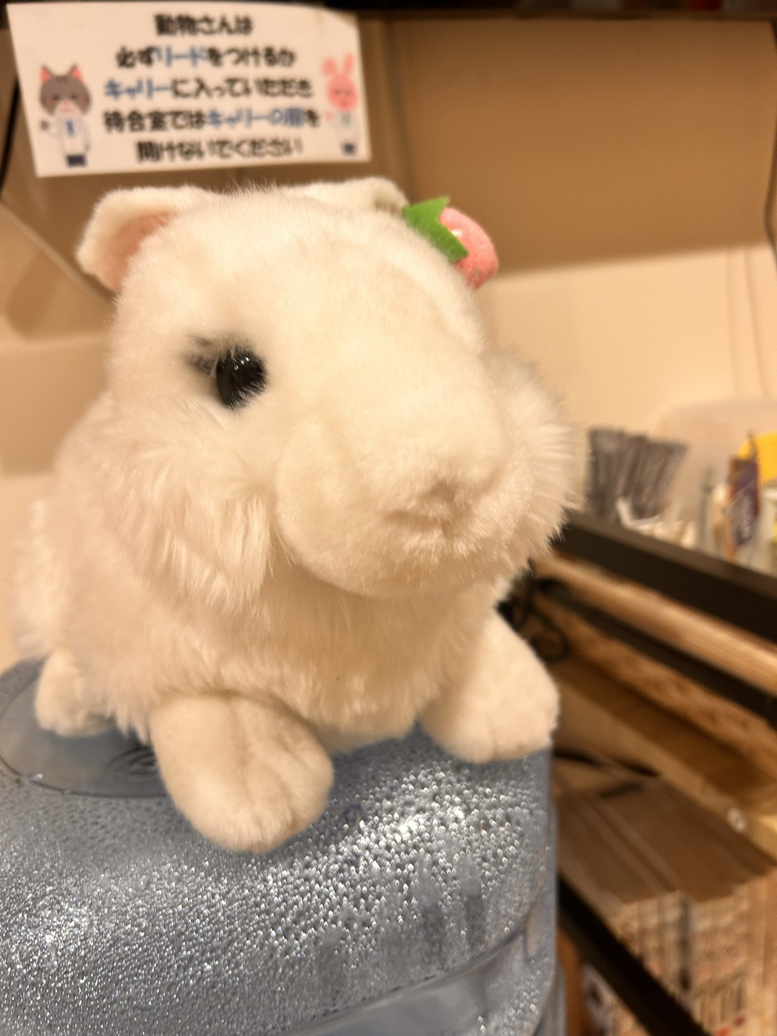くまʕ◜㉨◝ʔฅちゃんさま専用 ののくまちゃん🎮📒🧸こぐまぶい on X: 