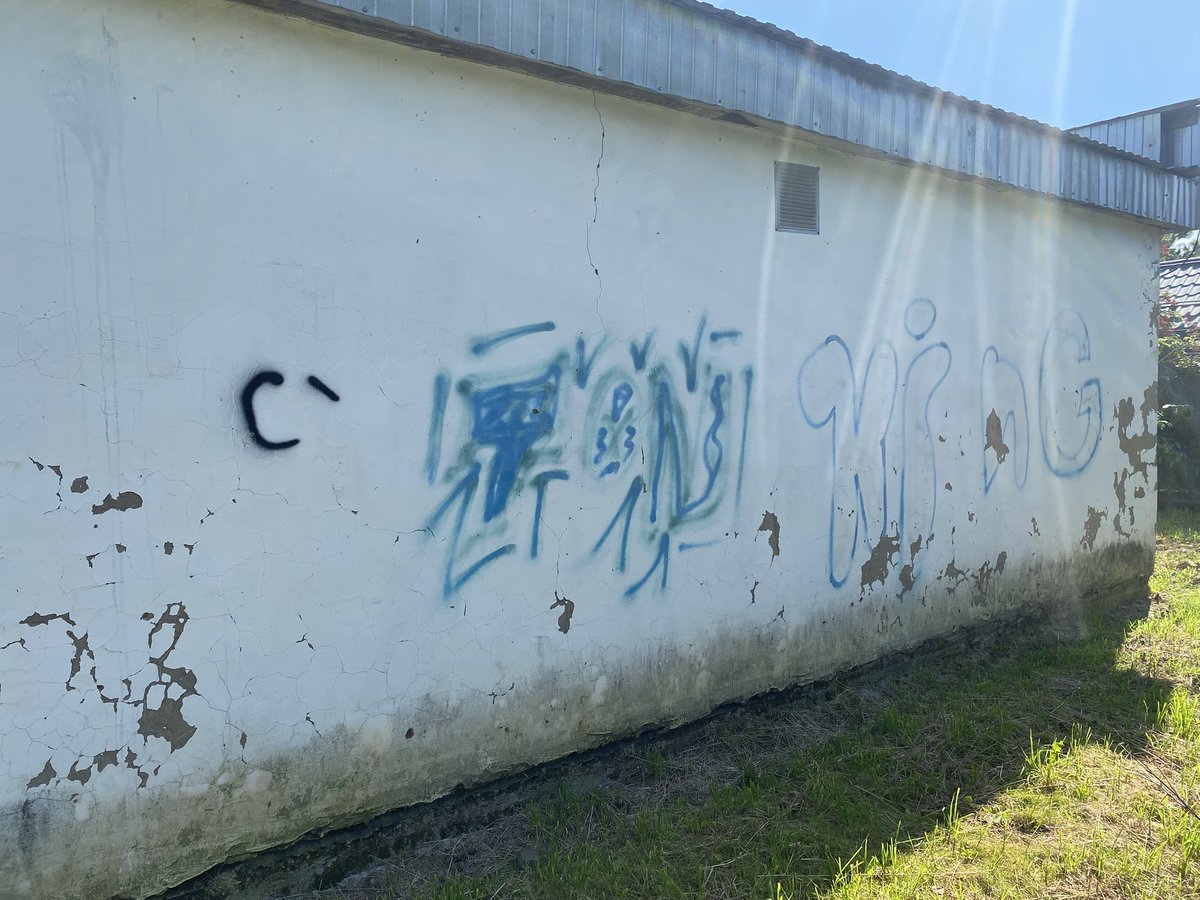 GM GM TON Lovers!🩵✨
TON is absolutely everywhere!😁
Just feel this vibe~

Btw, look at the graffiti on the wall of our village store😶‍🌫️ This is TON, right?)
Interesting👀