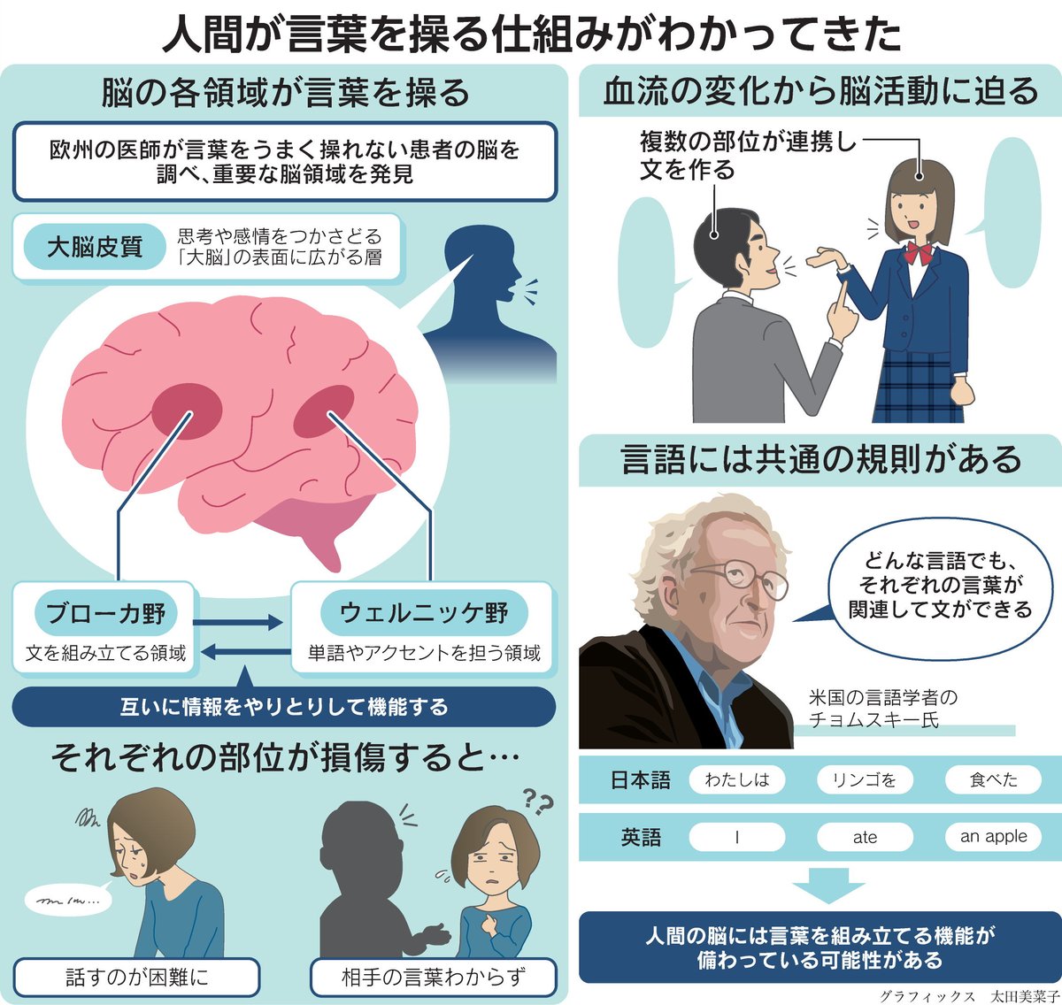 【人が言葉を操れるのはなぜ？】
脳の複数の場所が働いて文を作成
nikkei.com/article/DGXZQO…