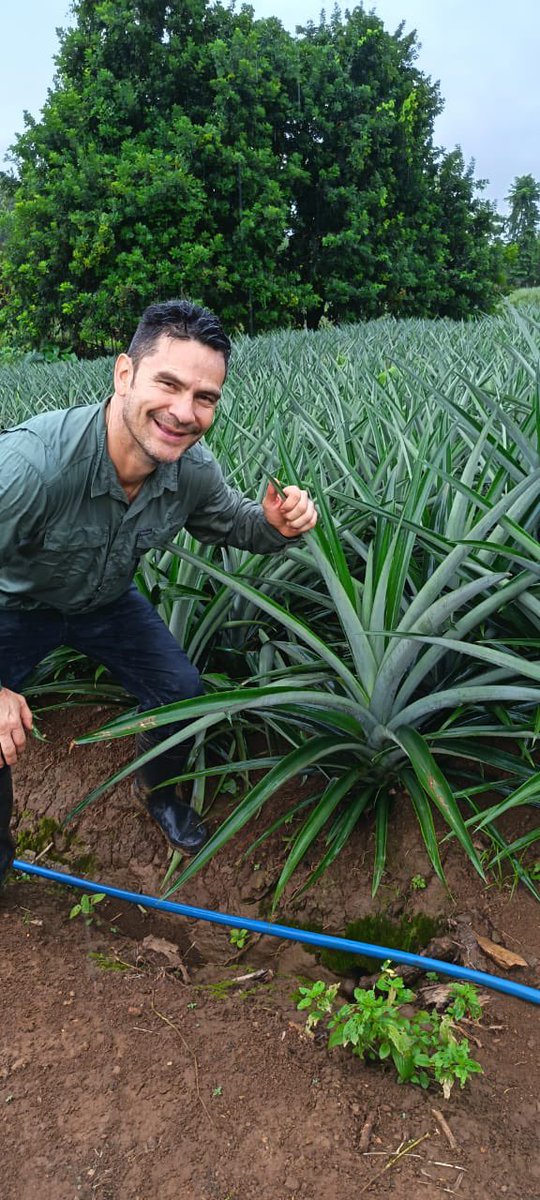 JORGE VINDAS VALERIO tweet media