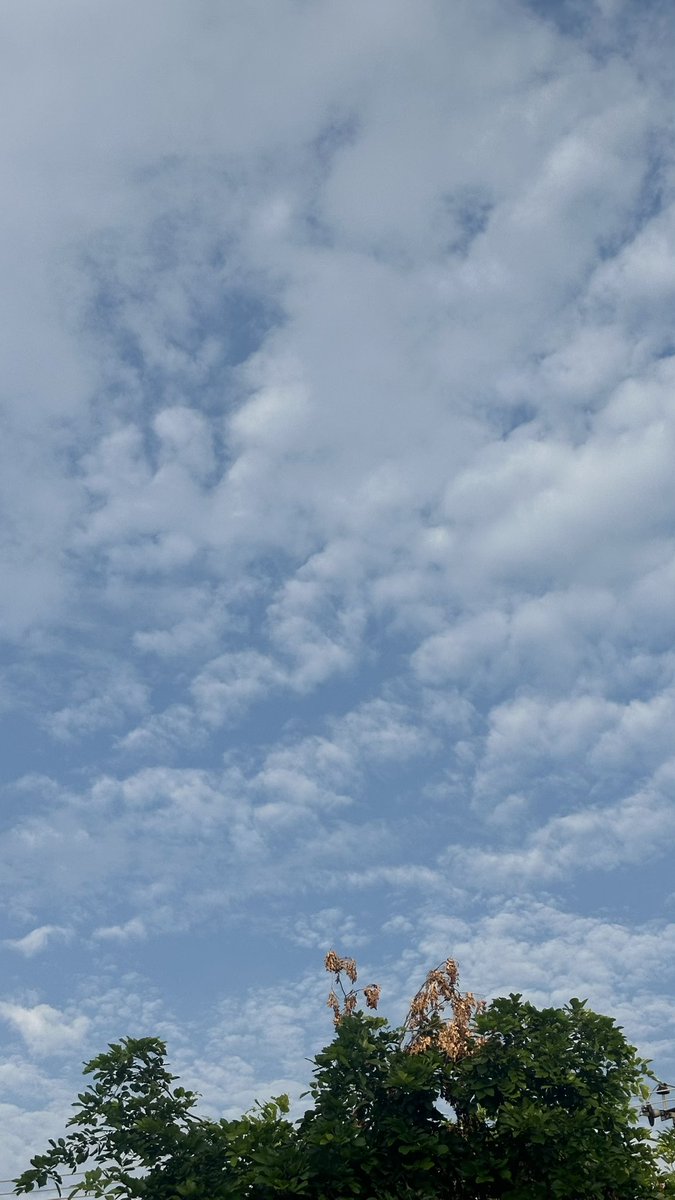 Today weather.⛈️🌩️

#islamabad
#WeatherUpdate 
#rain