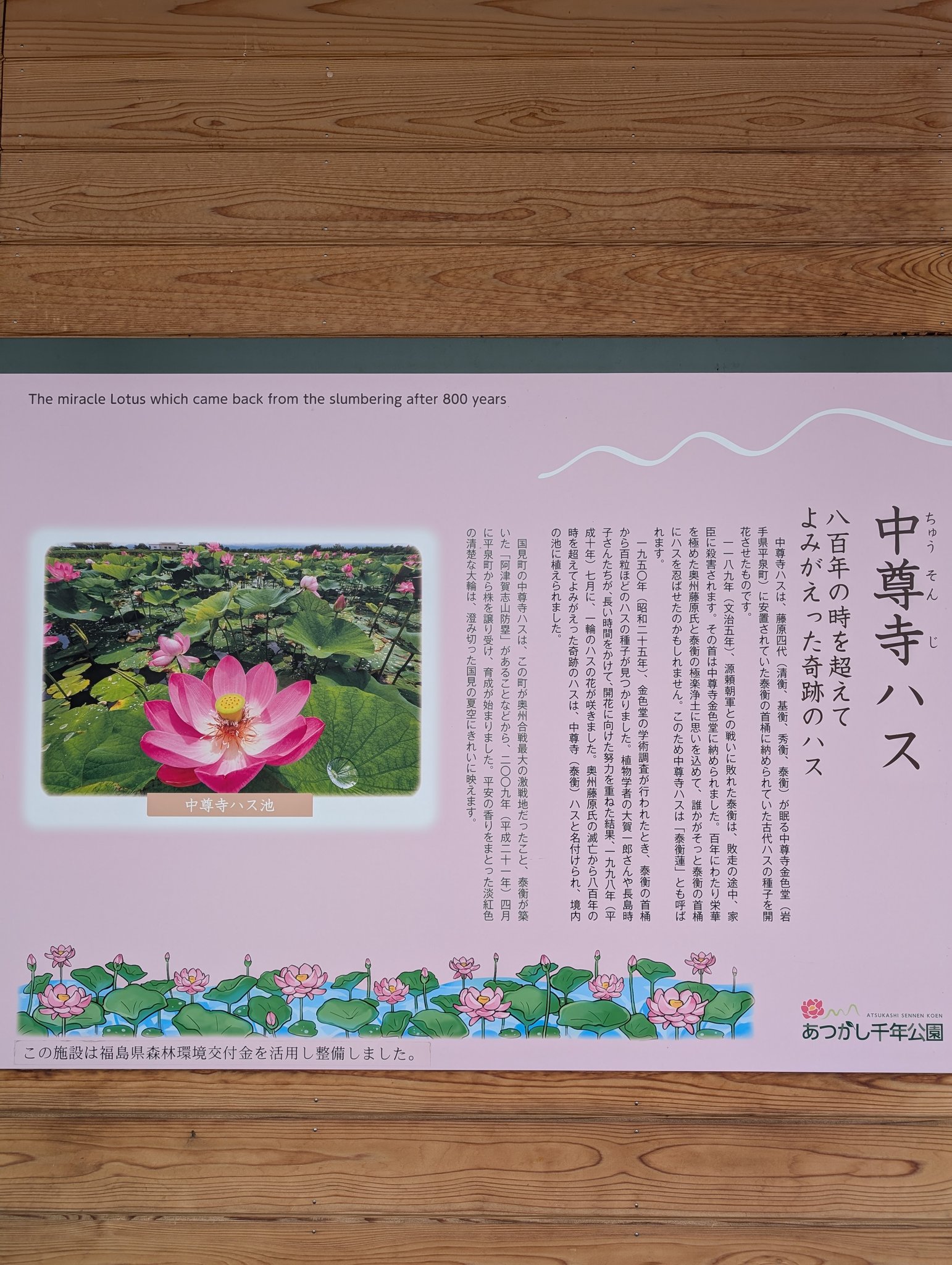 花蓮様☆専用ページ 真紅 – SOOTANG HOBBY