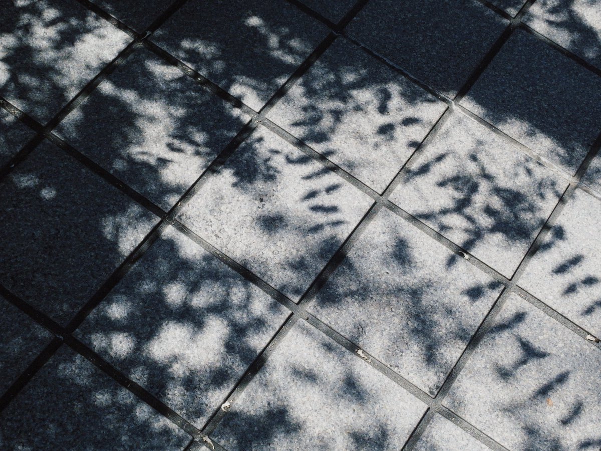 ⁡2025.06.21
⁡
なんでもない道端の　美しい場所