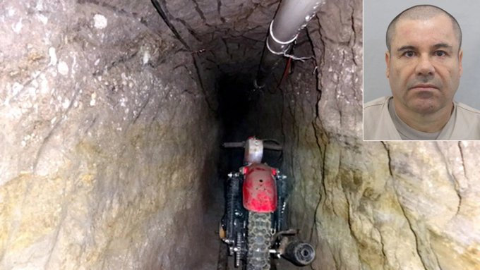 Cultination1's tweet image. Avec un QI de 138, il s’évade d&apos;une prison via un tunnel de 1,5 km, équipé de rails, d’éclairage et de ventilation, creusé sous la douche de sa cellule.

 El Chapo, le Seigneur des Tunnels➡
