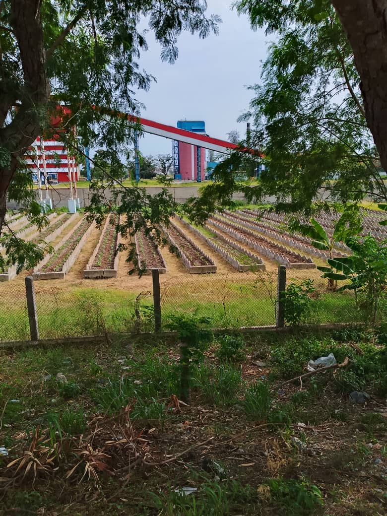 #cuba 
La Empresa Industrial de Instalaciones Fijas Traviesa trabaja continuamente para el aporte de hortalizas y vegetales.
#CubaEstáFirme 
#VillaClara