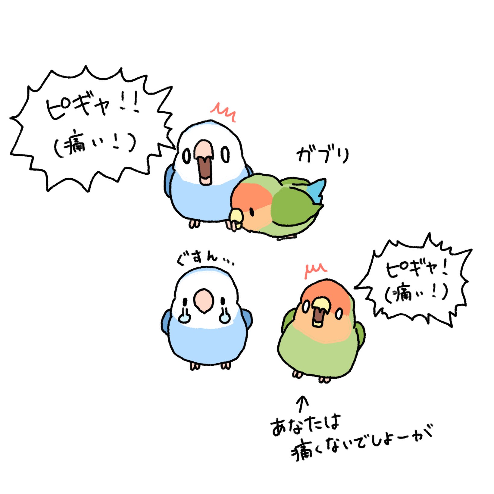 さとチル様 チルタリスex SR(ポケモンカードsv4M 未来の一閃)