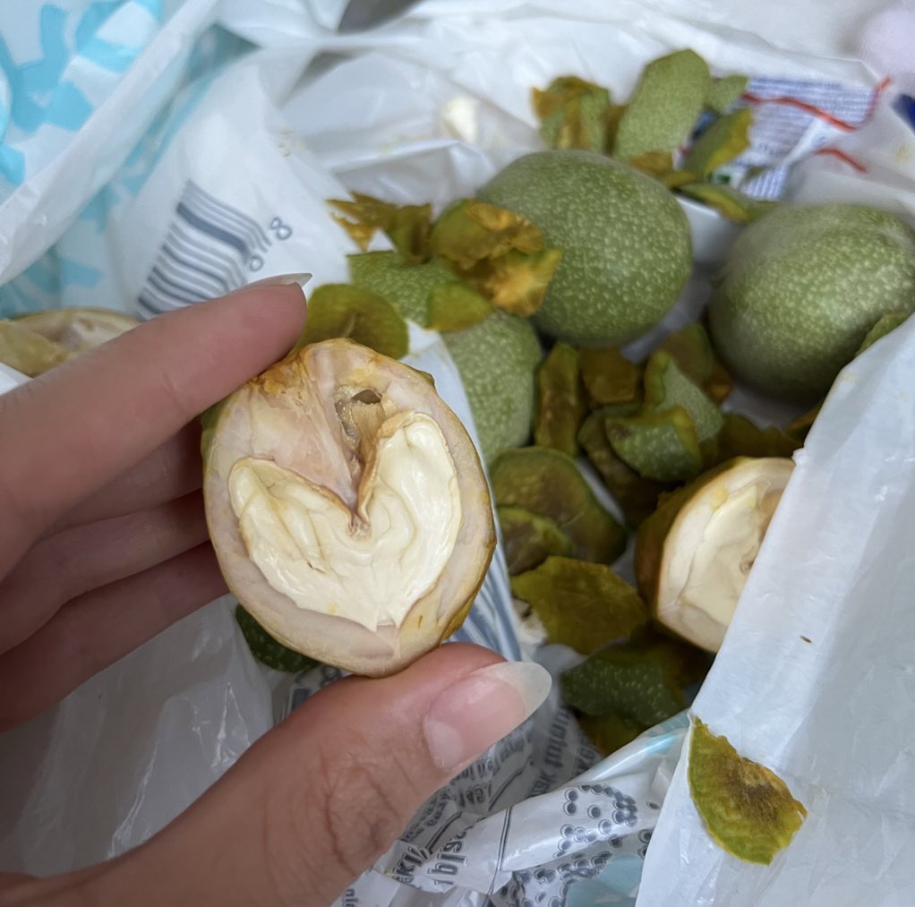 Herkes ne yapması gerektiğini biliyor