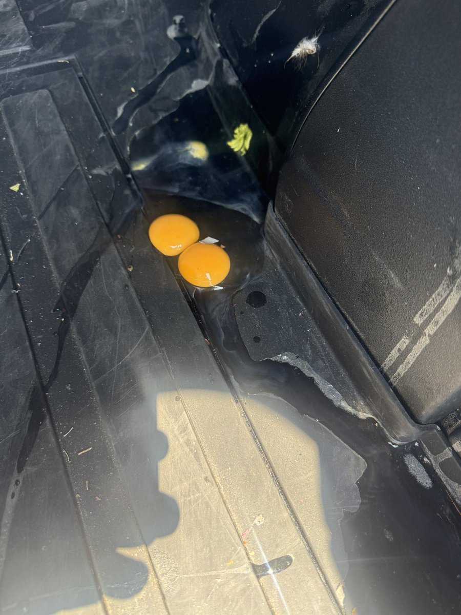 Tatws Trading 🏴󠁧󠁢󠁷󠁬󠁳󠁿🏴󠁧󠁢󠁷󠁬󠁳󠁿 tweet media