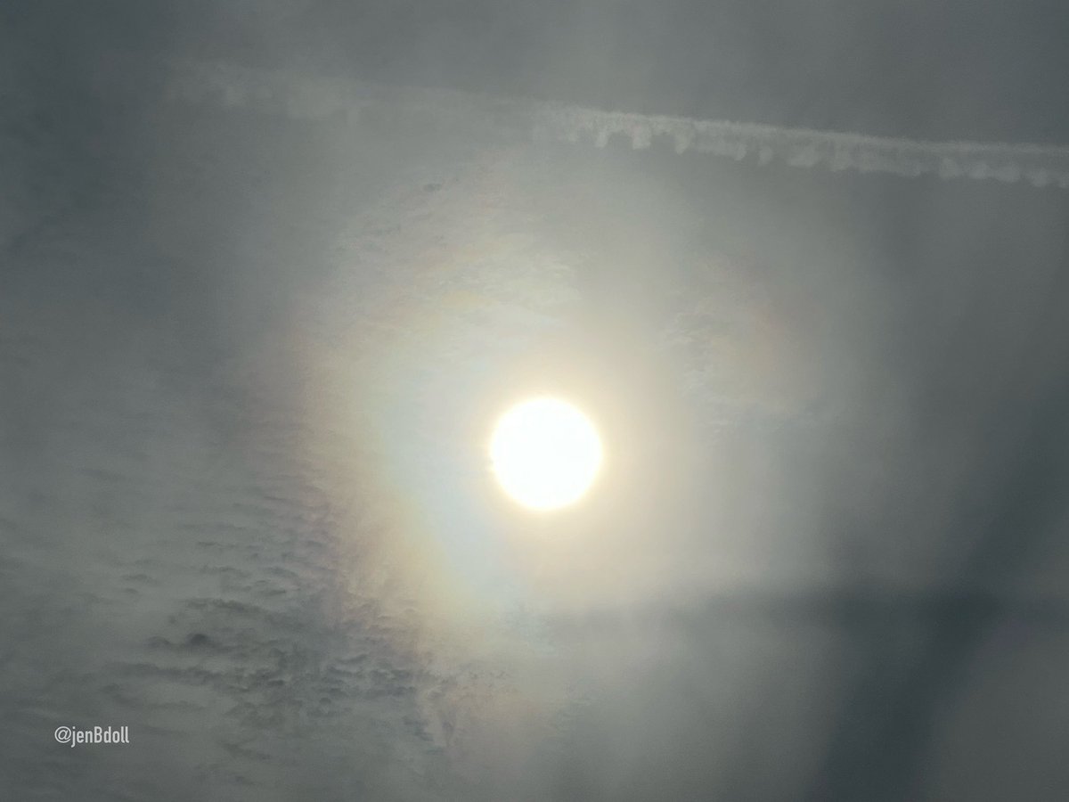 JenBDoll's tweet image. We have been under a white sky all morning
Now it starting to ‘clear’
📍Ormond By The Sea