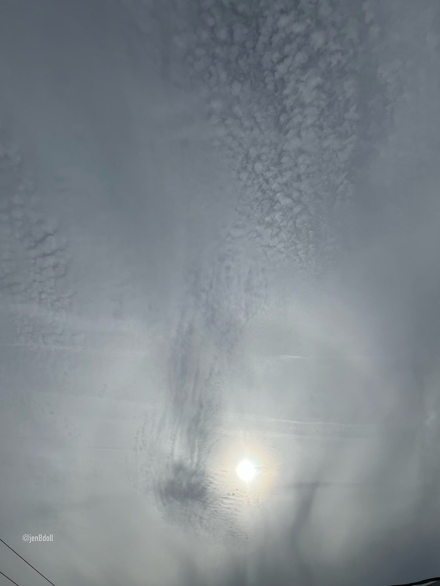 JenBDoll's tweet image. We have been under a white sky all morning
Now it starting to ‘clear’
📍Ormond By The Sea