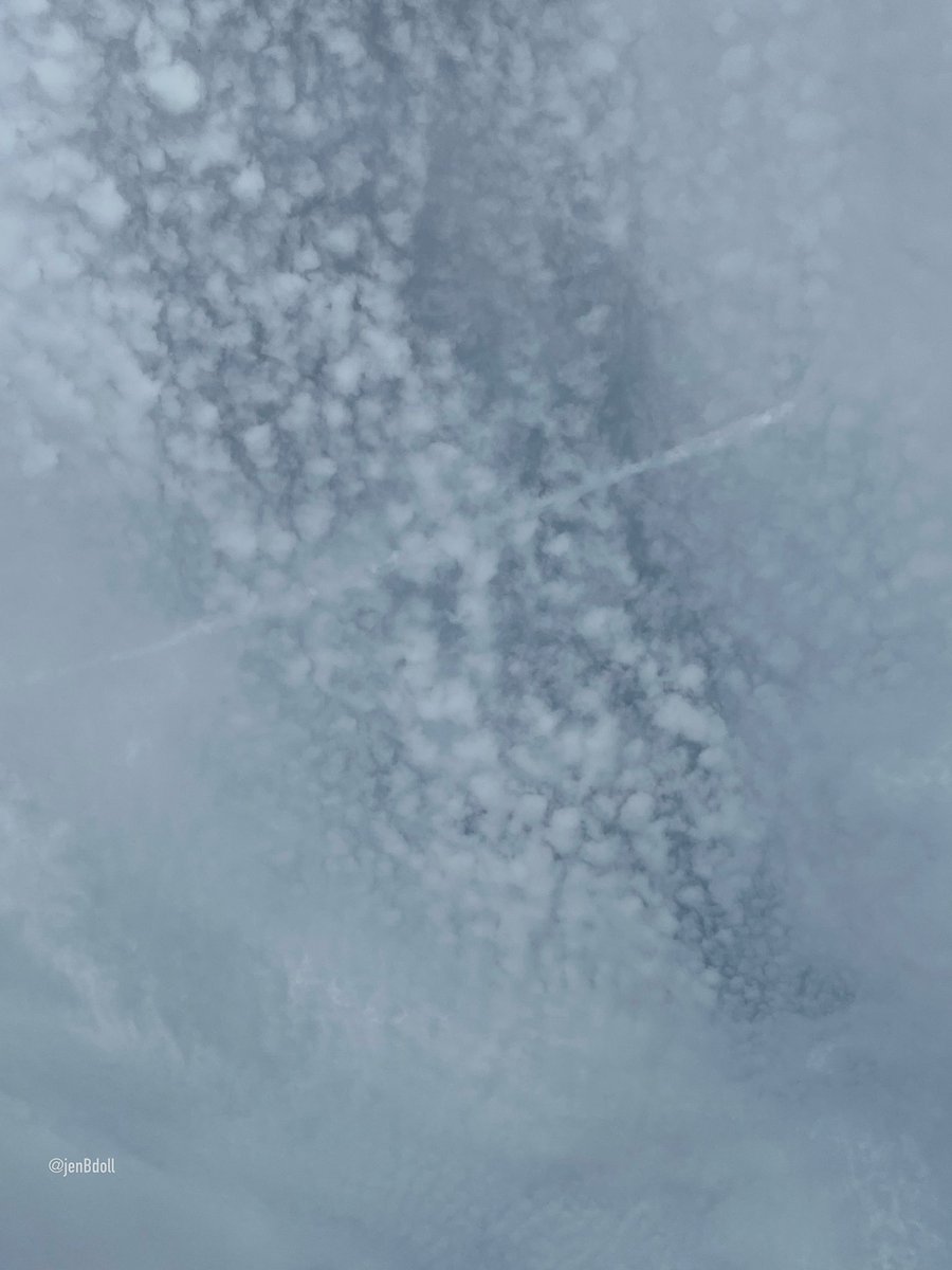 JenBDoll's tweet image. We have been under a white sky all morning
Now it starting to ‘clear’
📍Ormond By The Sea