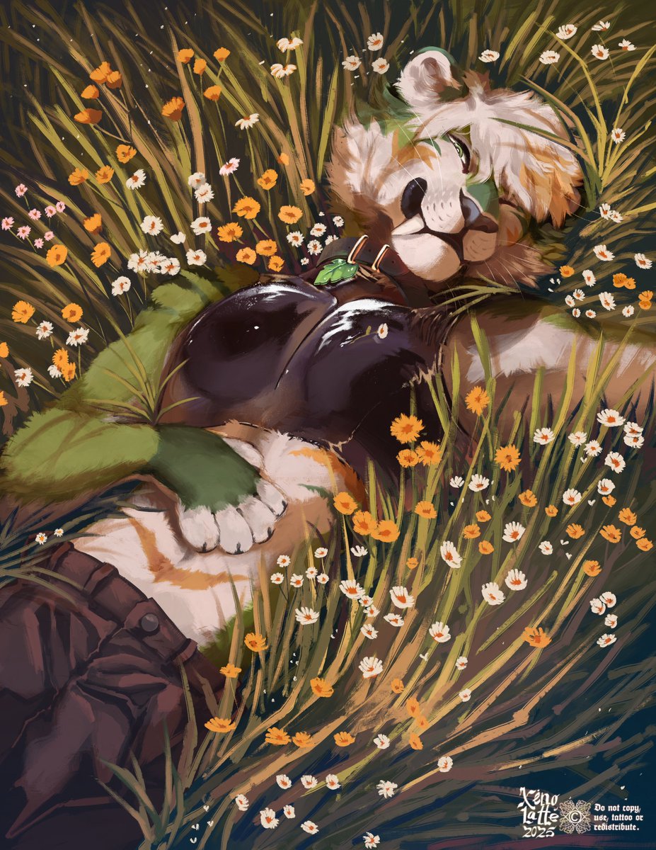 ✨Eepy✨ in the field, cm for @/_sleepysaber !