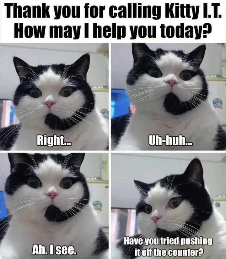 WholesomeMemes (@wholesomememe) on Twitter photo 