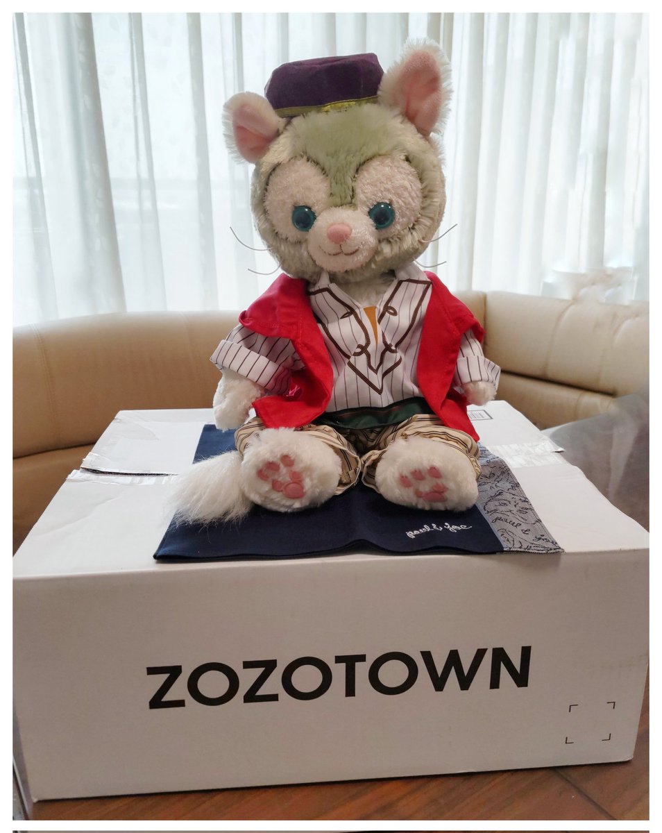 sasayaki8080's tweet image. ZOZOTOWNから、白い箱が届いたよ❣️

ジェラトーニ君もごきげん🎶

#ZOZOSALE箱CP