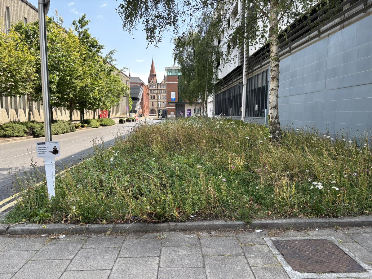 I was talking to a friend about proportionality and biodiversity the other day. They have a wildlife focussed garden and it’s great but we discussed is it enough if not everyone is going the same. Here at work we’re doing small interventions. But how can we scale these up!