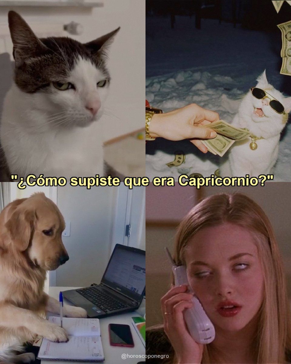 Estas son las vibras que siempre transmite Capricornio ♑️