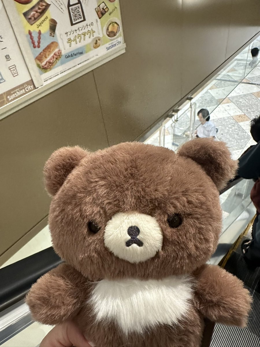 rilakkumaruuu's tweet image. コグマちゃん再入荷されたからゲット🥰🫶🏻