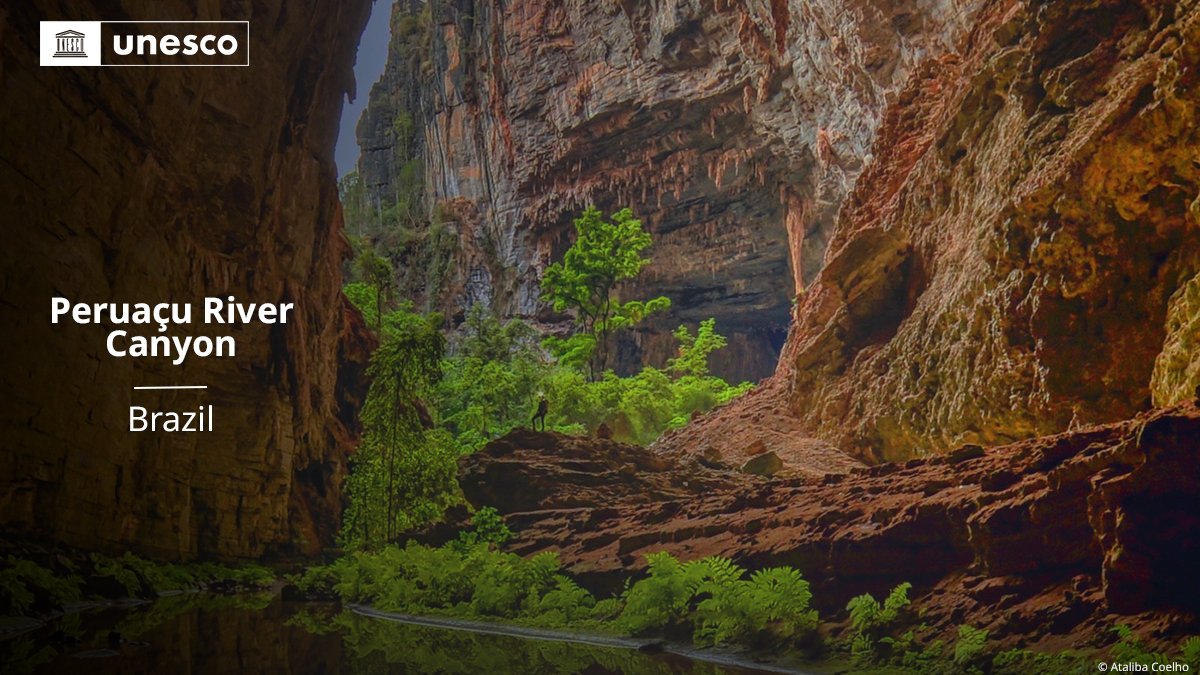 🔴 BREAKING!

New inscription on the <a href="/UNESCO/">UNESCO 🏛️ #Education #Sciences #Culture 🇺🇳</a> #WorldHeritage List: Peruaçu River Canyon, #Brazil 🇧🇷.

➡️ unes.co/47whc #47WHC