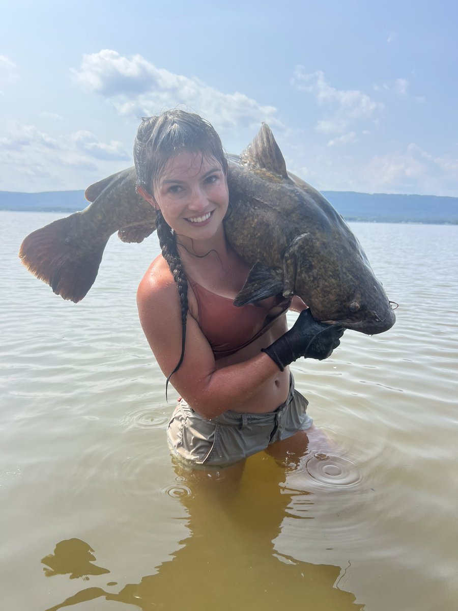 HannahBarron96_'s tweet image. A few Catfish from this year since I’ve been bad about posting!