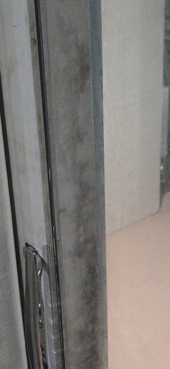 WonderWoman tweet media