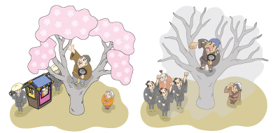 「日本昔話」にイラスト素材を追加しました。
   花咲か爺さん素材の最後です。
「風に飛んだ灰が枯れ木に花を咲かす」 
 「花咲かじいさん枯れ木に花を咲かす」
「お殿さまから褒美をもらう花咲か爺さん」  
「欲張り爺さんお殿さまの前で大失敗」
freecut.xyz/freecut53/free…