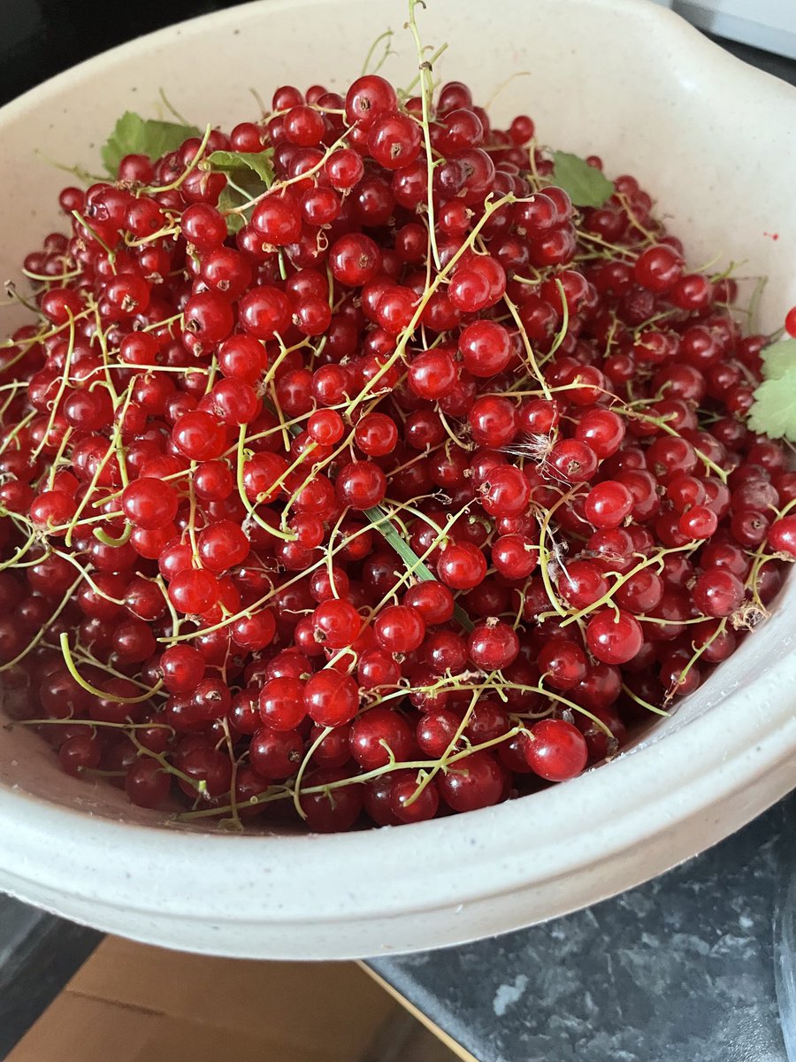 Ian McMillan tweet media