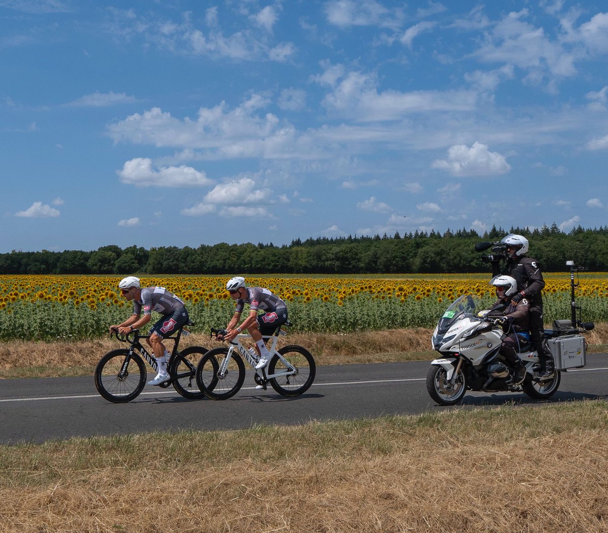 AlpecinDCK's tweet image. Hey guys, let’s go for a nice Sunday ride…
#AlpecinDeceuninck