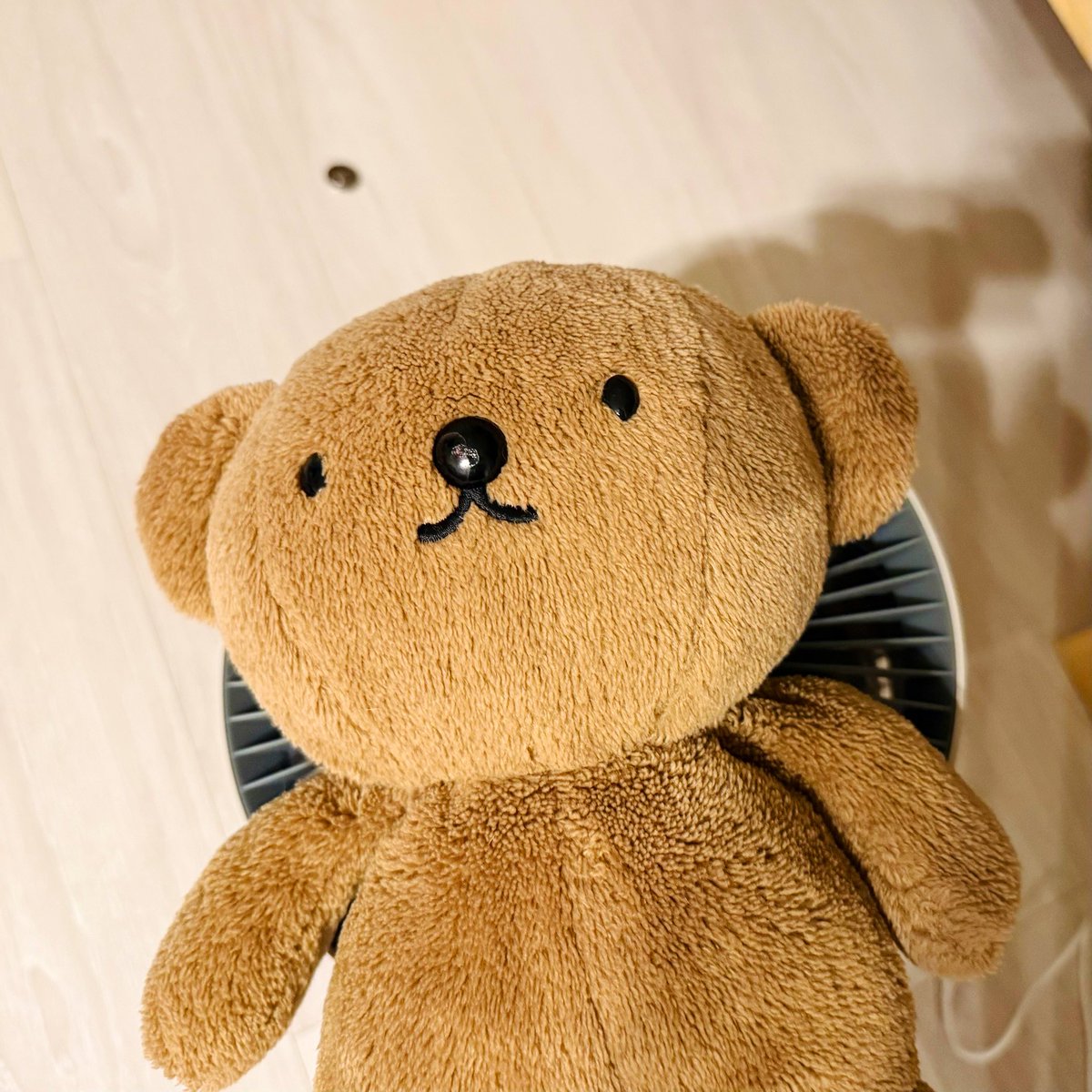 BorisPori's tweet image. ( ・ᴥ・ )🎐