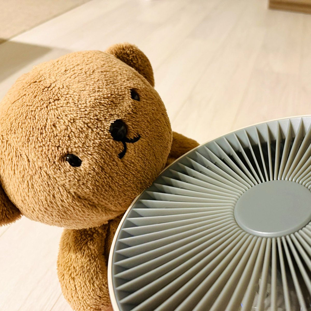 BorisPori's tweet image. ( ・ᴥ・ )🎐