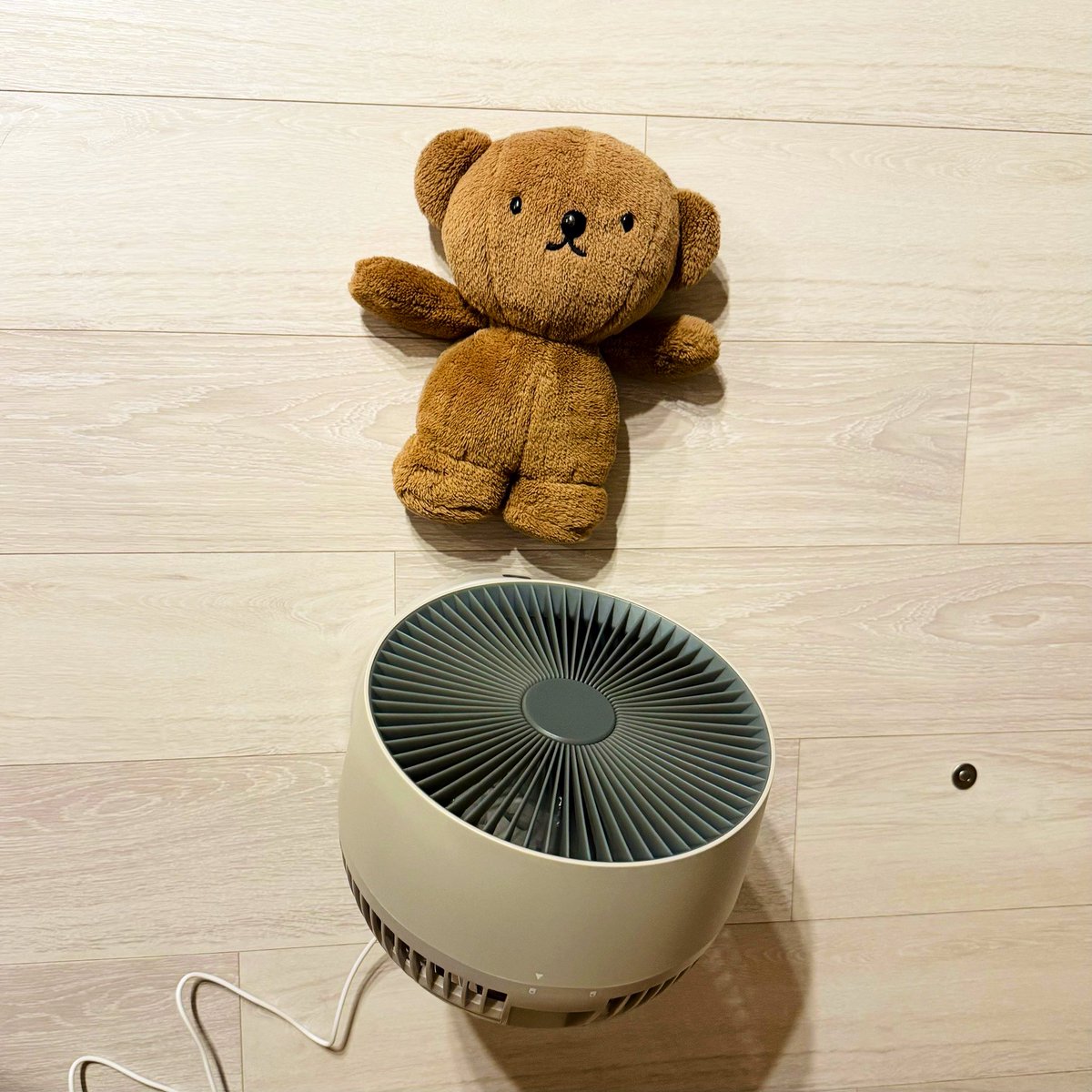 BorisPori's tweet image. ( ・ᴥ・ )🎐