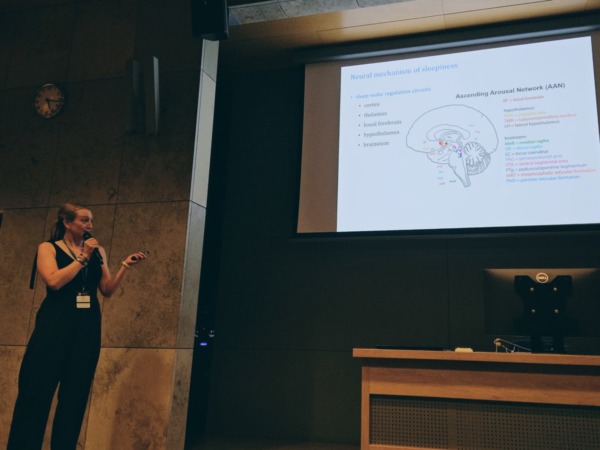 EBeldzik's tweet photo. Thrilled to have organized and presented at the “Coping with Sleepiness” symposium at #IOP2025 in Krakow! A fantastic experience sharing the stage with @dragamana, @JTegelbeckers  and A. Domagalik — insightful talks and great discussions! 🧠💤✨ https://t.co/L70VBm37Me