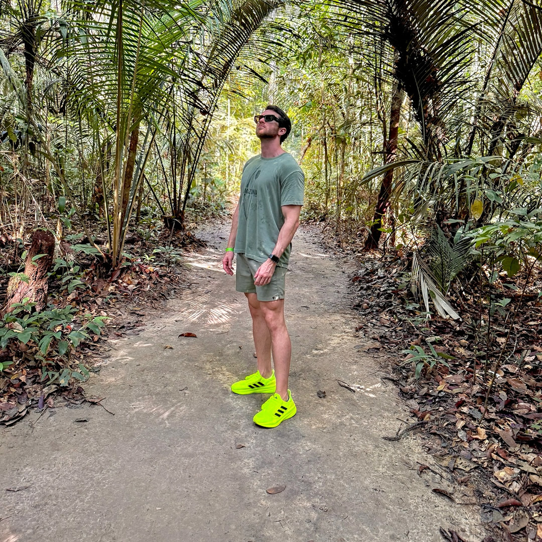 Museu da Amazônia tweet media