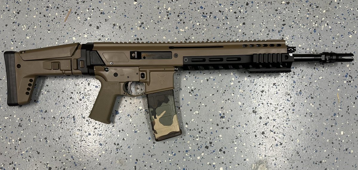 GM.  Thoughts on this <a href="/palmettoarmory/">Palmetto State Armory</a> Jakl?