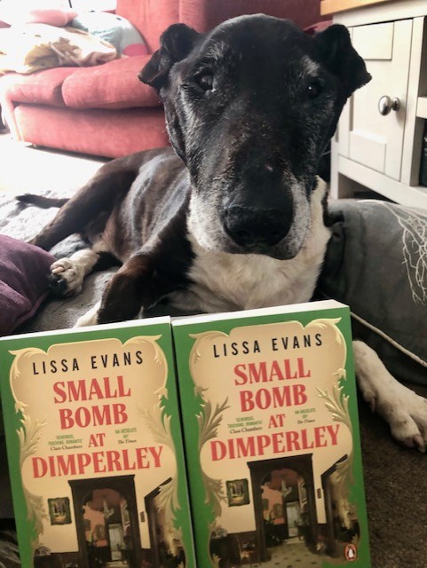 Watson is looking at you - yes, YOU.   Small Bomb at Dimperley is out in paperback in a month, and I have two signed copies to give away.  RT before tomorrow tea-time (4.45pm) and Watson will choose the person he likes the look of most.  Bribes possibly accepted.