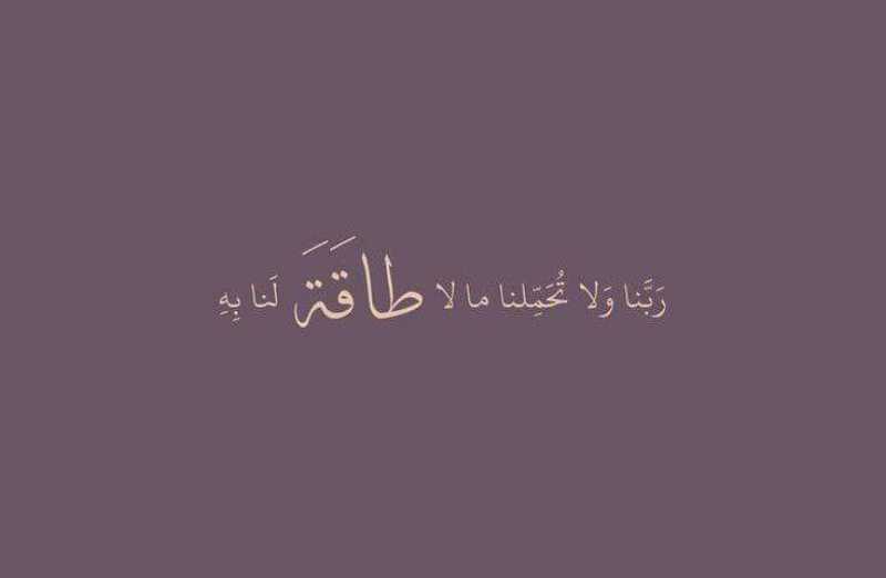 وسخر لنا من يحتضننا في عز خوفنا فنطمئن ♥️